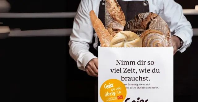 BookNoFees: Kavinė – Geier – Vienna – grifas, nuotrauka 3