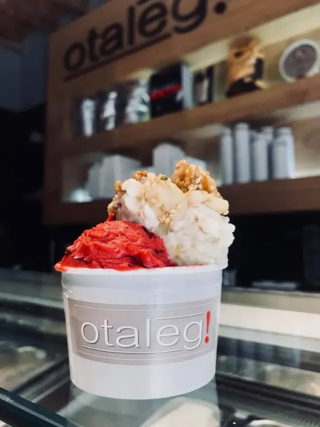 BookNoFees: Ledai – Otaleg – Rome – Jūs ieškote, nuotrauka 2