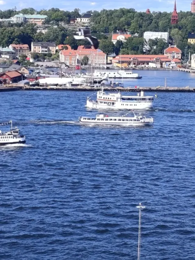 BookNoFees: Kavinė – Fåfängan – Stockholm – Tuštybė, nuotrauka 2