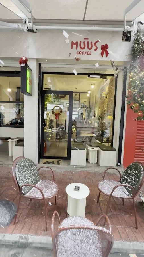 BookNoFees: Kavinė – MÜÜS Coffee – Istanbul – MÜÜS Coffee, nuotrauka 3