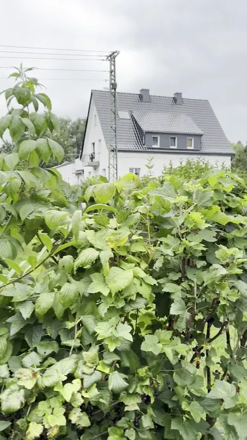 BookNoFees: Restoranas – Landgasthof Gruß Sebastian – Brilon – Kaimo viešbutis „Gruß Sebastian“, nuotrauka 3