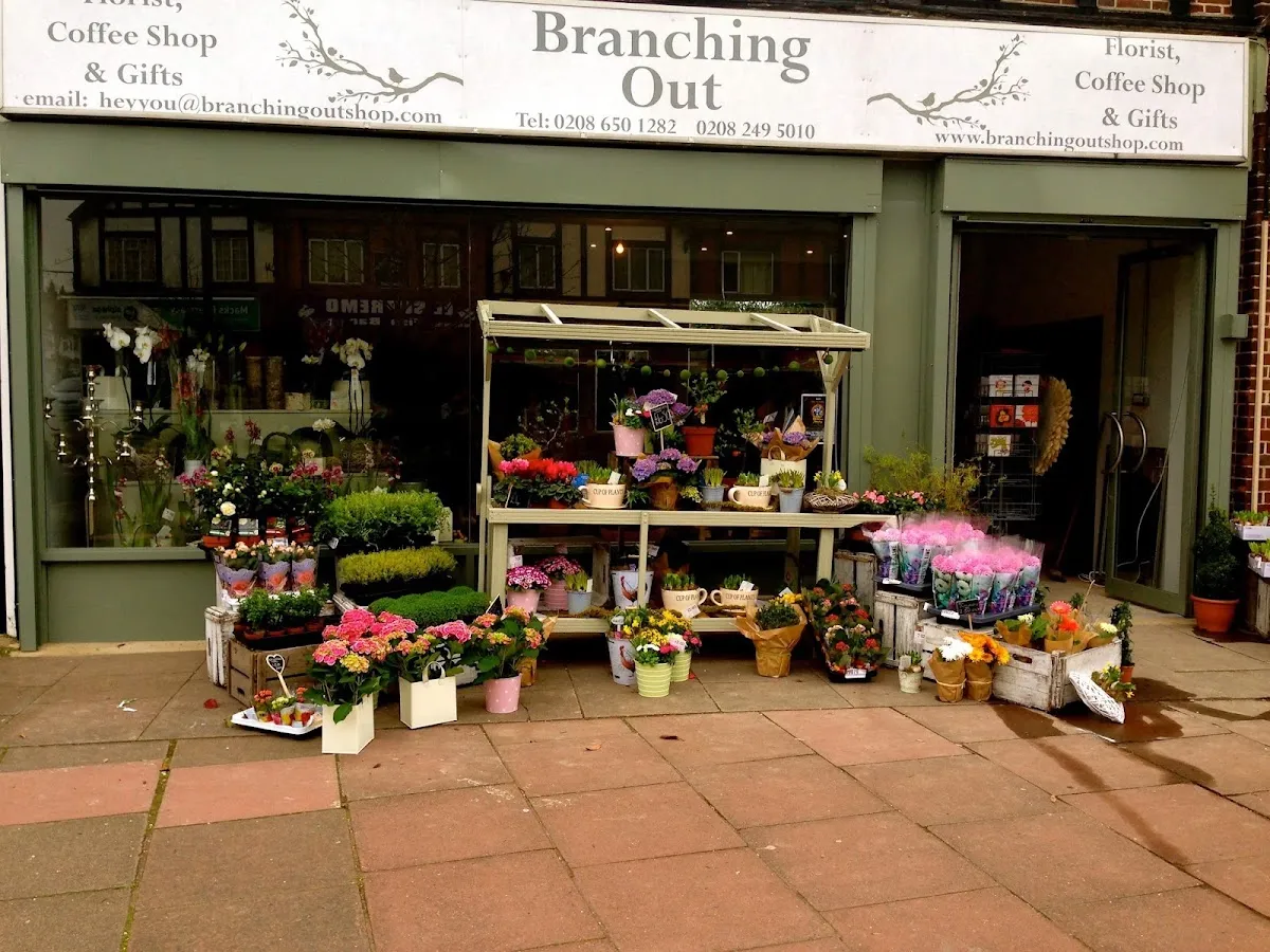 BookNoFees: Kavinė – Branching Out – London – Plėtra, nuotrauka 1