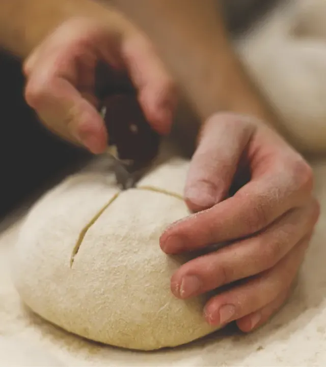 BookNoFees: Kepykla – Triticum Micropanificio Agricolo – Rome – „Triticum“ žemės ūkio mikroduonos kepykla, nuotrauka 3