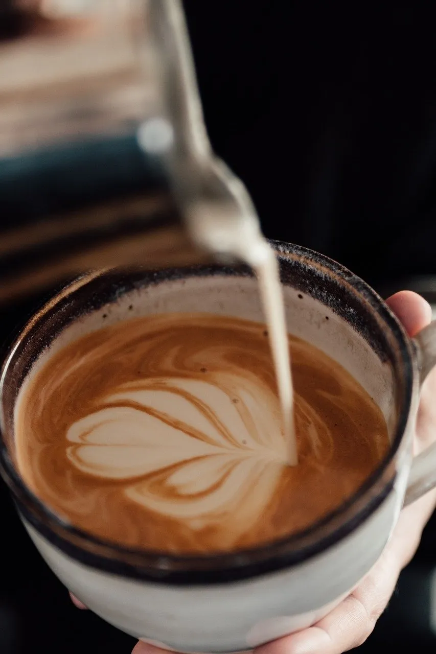 BookNoFees: Kavinė – Cafe Fusion – Copenhagen – „Cafe Fusion“, nuotrauka 1