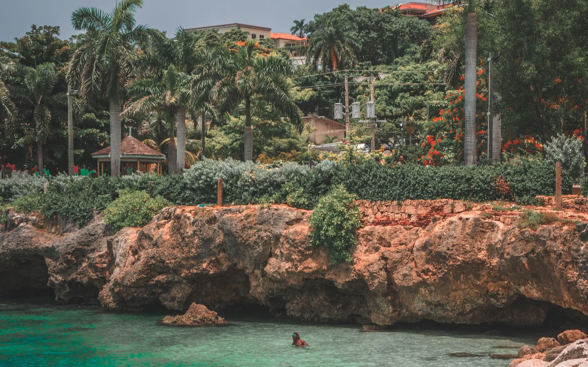 Montego Bay su palmėmis ir turkio spalvos vandeniu