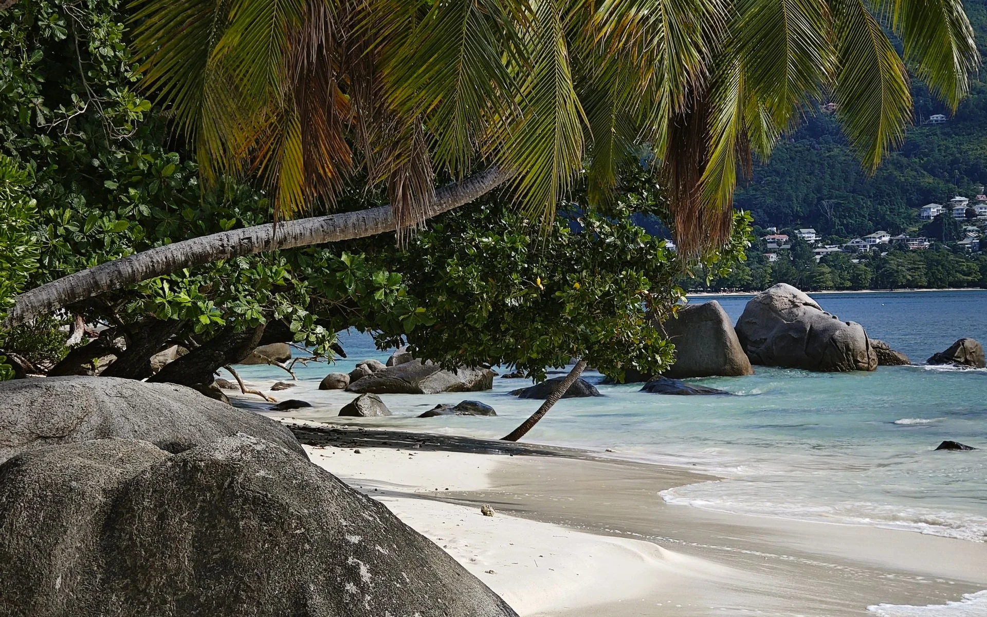Palmių ir uolų vaizdas Beau Vallon paplūdimyje